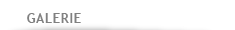 GALERIE